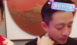 娱乐圈吃瓜爆料燕子,燕子吃瓜爆料，揭秘明星幕后故事