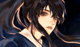 男妾  漫画,宫廷权谋与爱恨纠葛的画卷